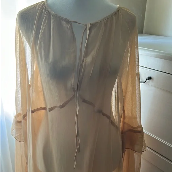 Sheer Tan Ruffle Boho Maxi Dress - Picture 2 of 7